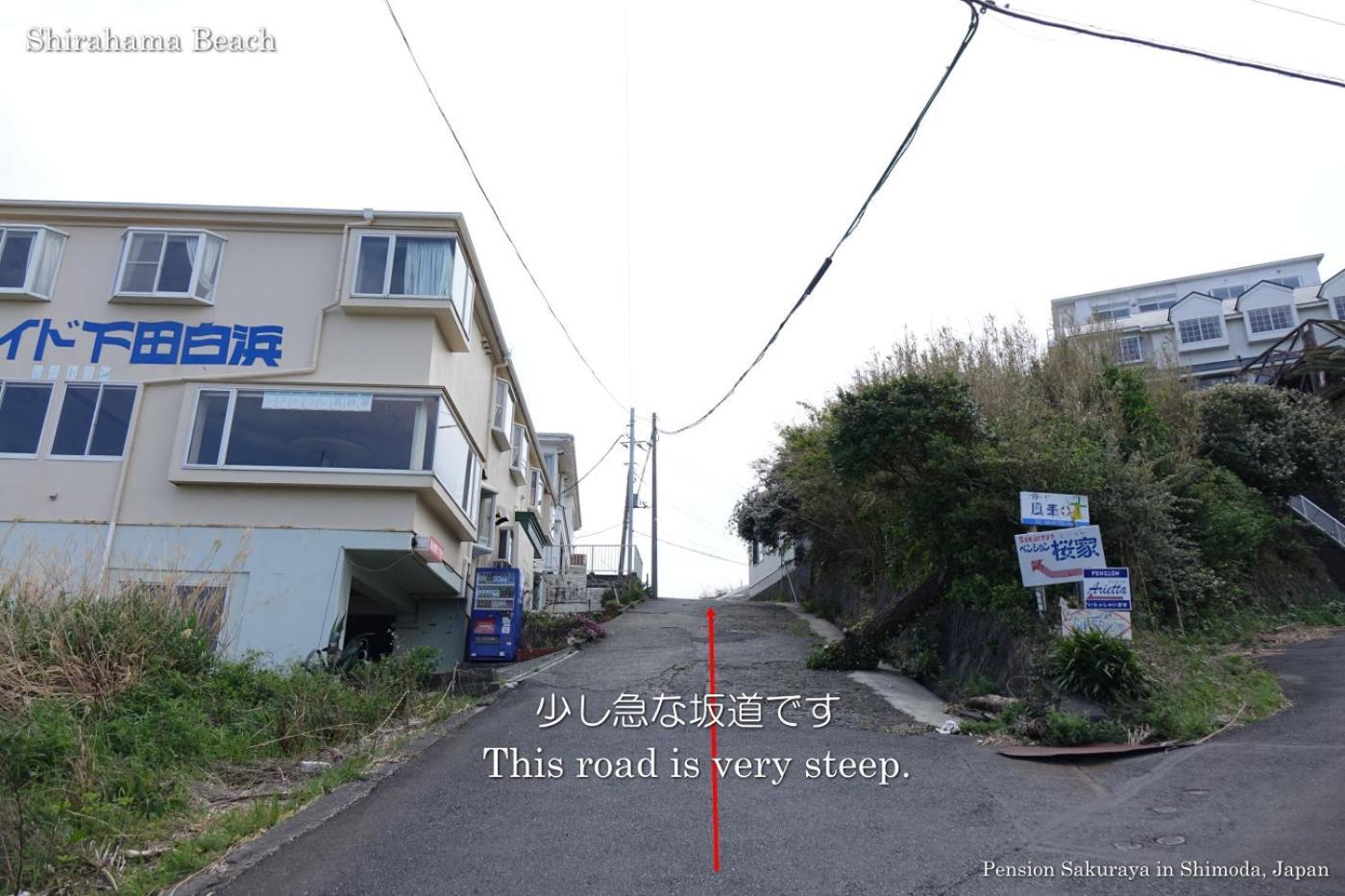 ペンション桜家 Hotel Shimoda  Buitenkant foto